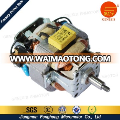 Jiangmen 100 Watts AC Motor